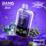 Bang Leader Stoll 120K Jednorazowy Vape – Dwa Smaki - obrazek 14