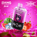 Bang Leader Stoll 120K Jednorazowy Vape – Dwa Smaki - obrazek 4