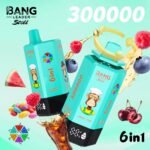 Bang Leader 300K Puffs Disposable Vape 6 in 1 - obrazek 3