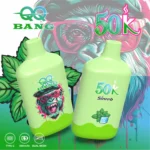 QQ Bang 50000 Puffs - jednorazowy e-papieros Dual Mesh z USB-C - wariant QQ BANG 50000 Puffs Mint ice